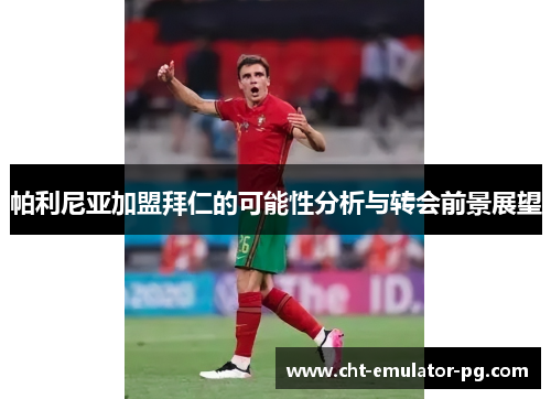 帕利尼亚加盟拜仁的可能性分析与转会前景展望