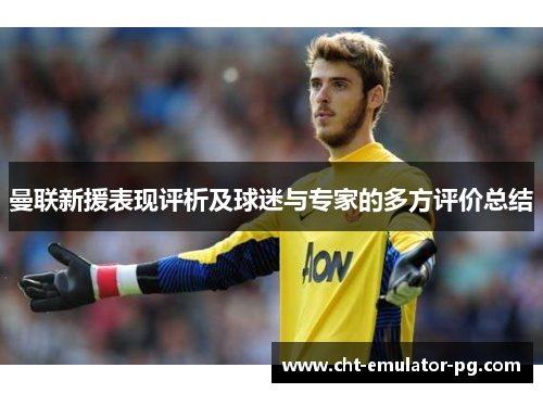 曼联新援表现评析及球迷与专家的多方评价总结